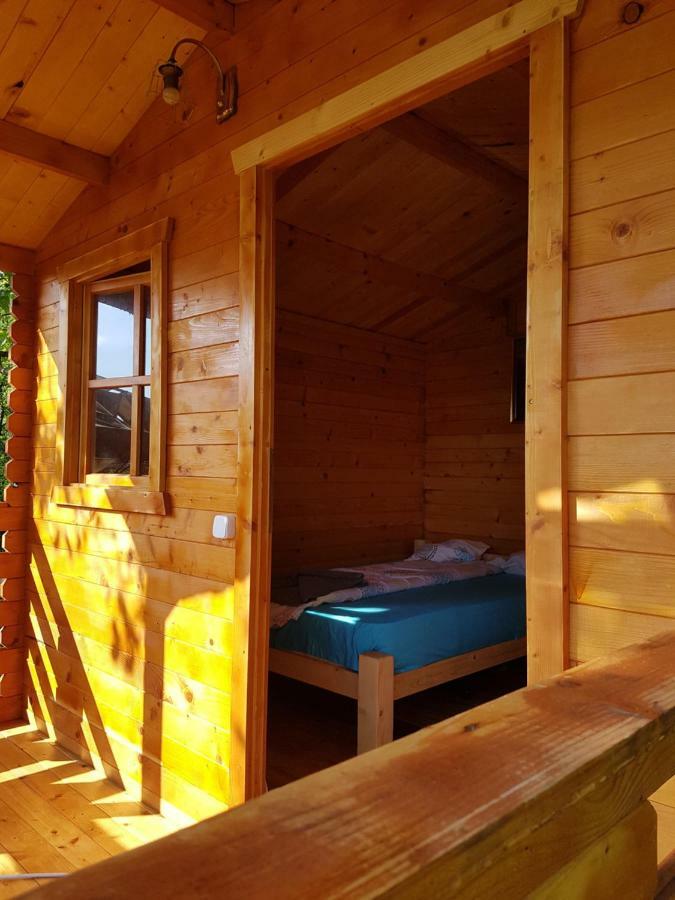 Retezat Retreat - Wood Cabin Villa Clopotiva ภายนอก รูปภาพ